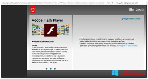 截图 Flash Media Player Windows 8