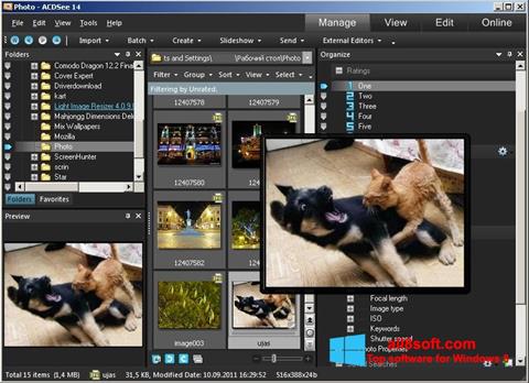 截图 ACDSee Photo Manager Windows 8