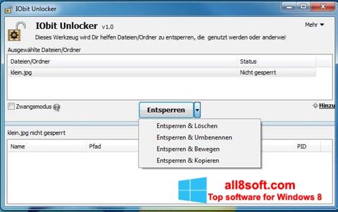 截图 IObit Unlocker Windows 8