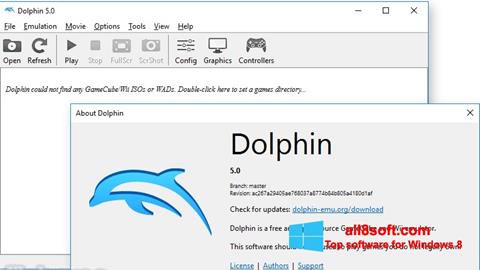 截图 Dolphin Windows 8