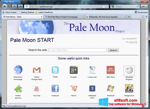 截图 Pale Moon Windows 8