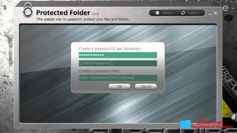 截图 Protected Folder Windows 8