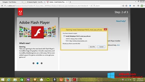截图 Adobe Flash Player Windows 8
