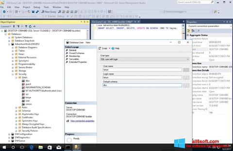 截图 Microsoft SQL Server Windows 8