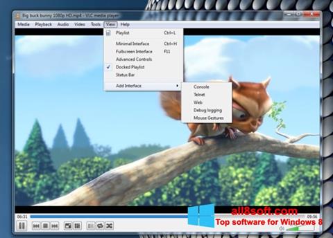 截图 VLC Media Player Windows 8